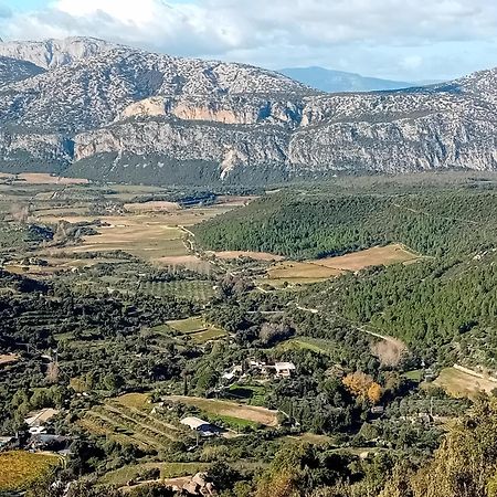 B&B Su Acu Dorgali Exteriér fotografie