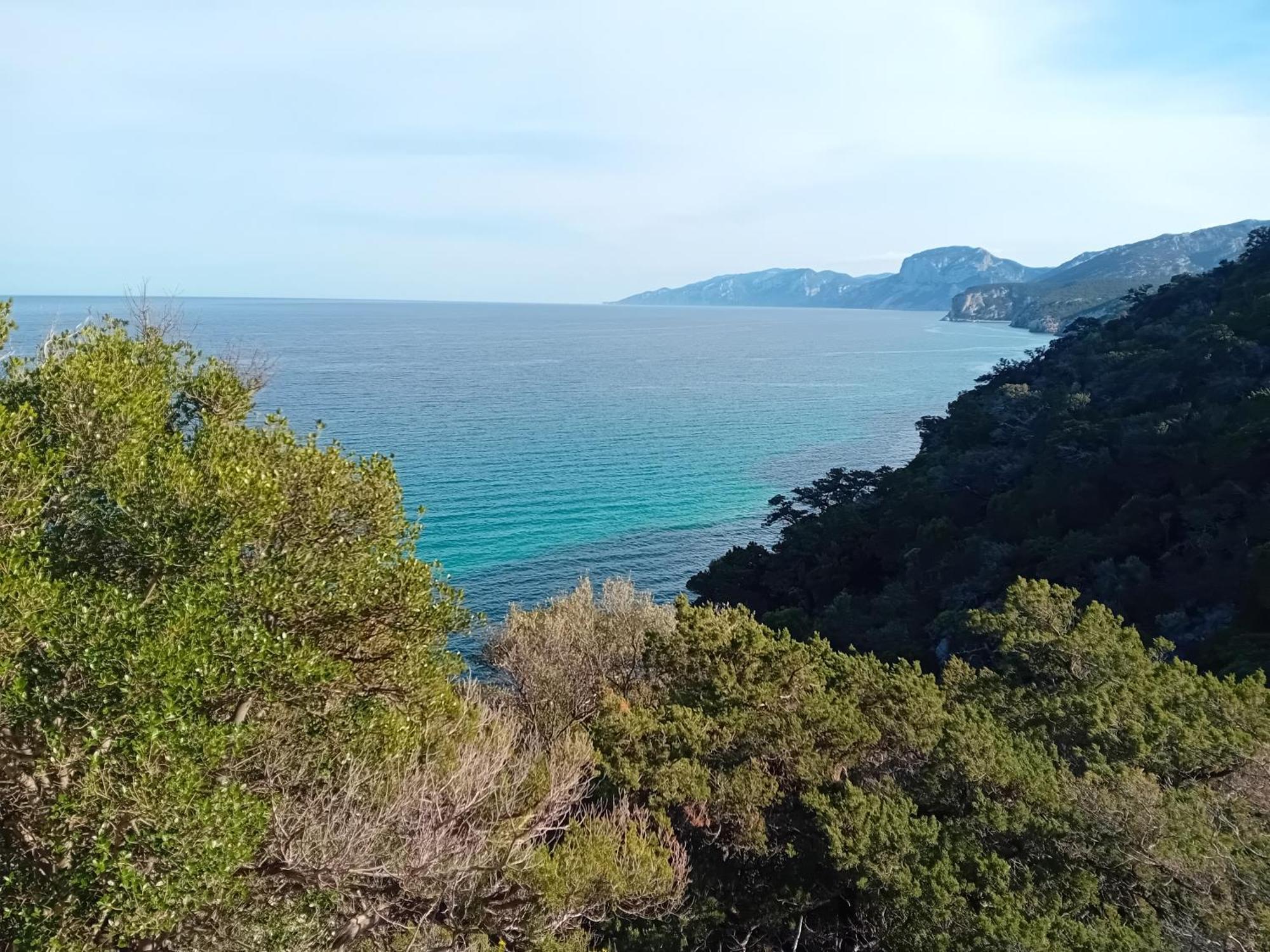 B&B Su Acu Dorgali Exteriér fotografie